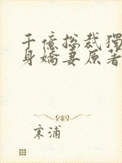 千亿总裁独宠替身娇妻原著小说