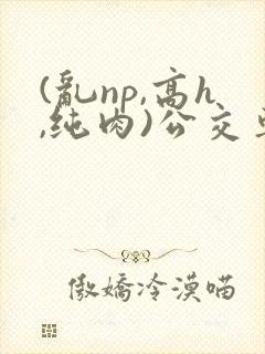 (乱np,高h,纯肉)公交车群p小说