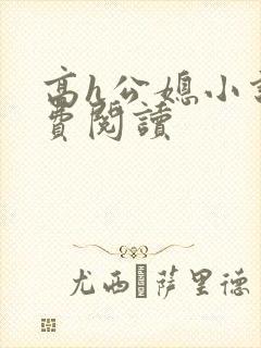 高h公媳小说免费阅读