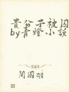 贵公子被囚为奴by青灯小说免费阅读