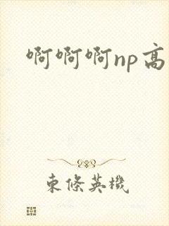 啊啊啊np高h