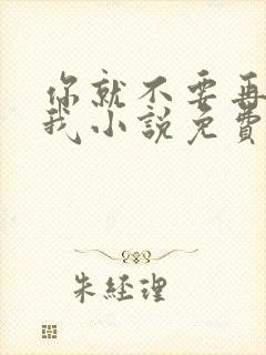 你就不要再想起我小说免费阅读全文