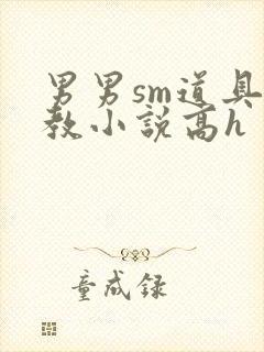 男男sm道具调教小说高h