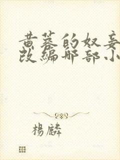 黄蓉的奴妾小说改编哪部小说封面