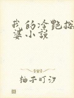 我的冷艳总裁老婆小说