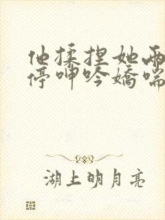 他揉捏她两乳不停呻吟娇喘小说