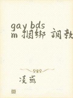 gay bdsm 捆绑 调教 男奴封面
