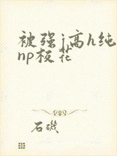 被强j高h纯肉np校花