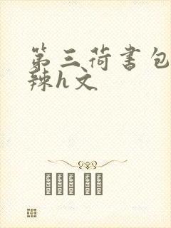 第三荷书包网高辣h文