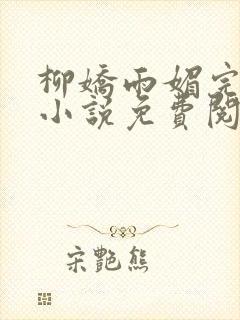 柳娇雨媚完结版小说免费阅读封面