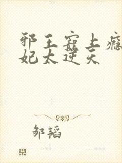 邪王宠上瘾,爱妃太逆天