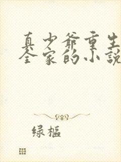 真少爷重生暴揍全家的小说