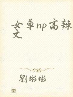 女尊np高辣h文封面