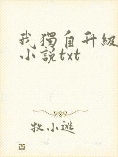 我独自升级原著小说txt