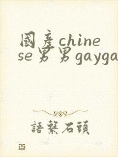 国产chinese男男gaygay网站网约