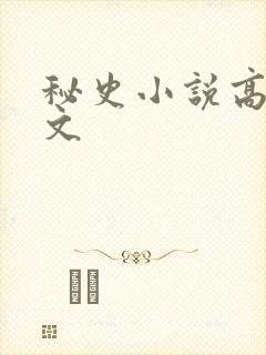 秘史小说高辣h文封面
