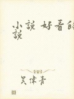 小说 好看的小说