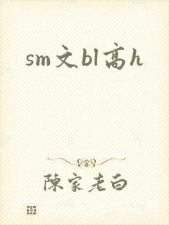 sm文bl高h