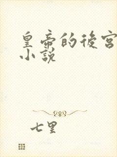 皇帝的后宫床戏小说封面
