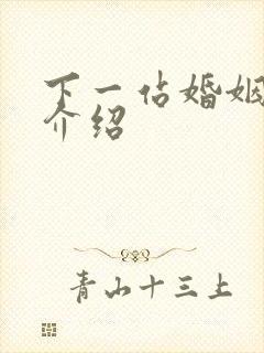 下一站婚姻剧情介绍