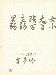 男主强大女主柔弱的古言小说