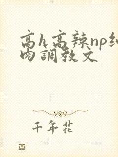 高h高辣np纯肉调教文