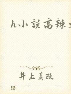 h小说高辣文