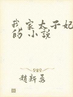 我家太子妃超凶的 小说