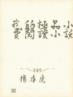 我的极品小姨免费阅读小说封面