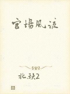 官场风流封面