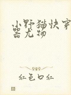 小野猫快穿之名器尤物