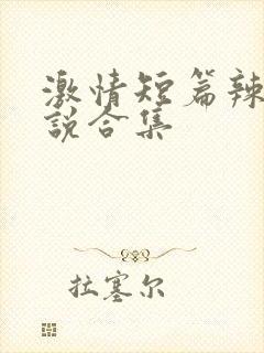 激情短篇辣文小说合集封面