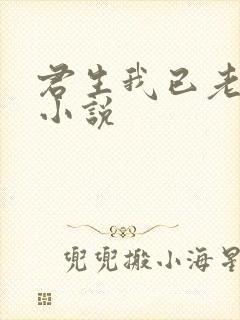 君生我已老有声小说
