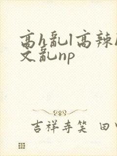 高h乱l高辣h文乱np