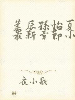 叶辰孙怡夏若雪最新章节小说