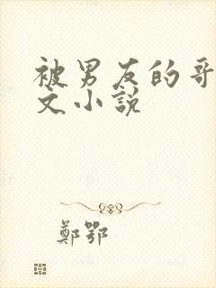 被男友的哥哥h文小说封面