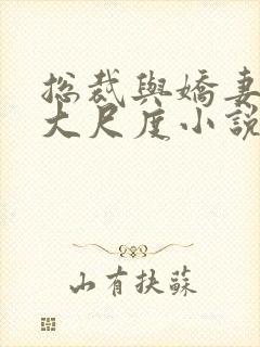 总裁与娇妻h肉大尺度小说