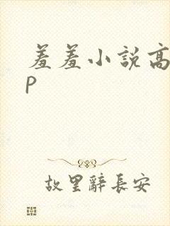 羞羞小说高hnp