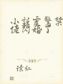 小说震惊禁欲大佬闪婚了