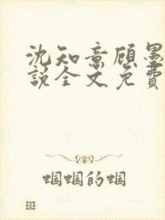 沈知意顾墨臣小说全文免费阅读