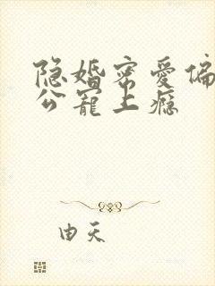 隐婚密爱偏执老公宠上瘾