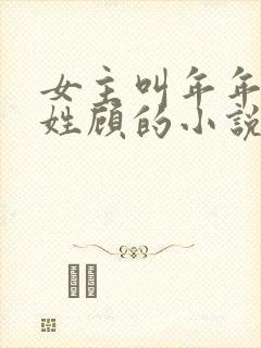 女主叫年年男主姓顾的小说