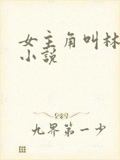 女主角叫林婉的小说