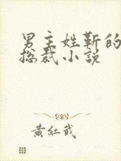 男主姓靳的霸道总裁小说