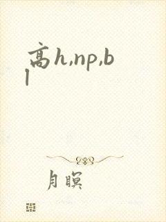 高h,np,bl