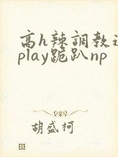 高h辣调教道具play跪趴np