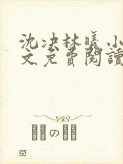 沈决林曦小说全文免费阅读封面