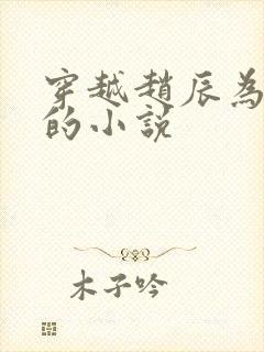 穿越赵辰为主角的小说