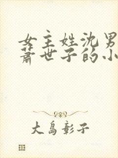 女主姓沈男主姓萧世子的小说