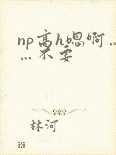 np高h嗯啊……不要封面